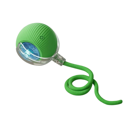 Interactive Rolling Ball Pet Toy