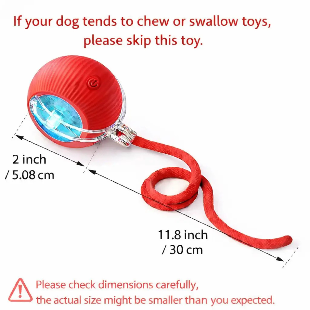 Interactive Rolling Ball Pet Toy