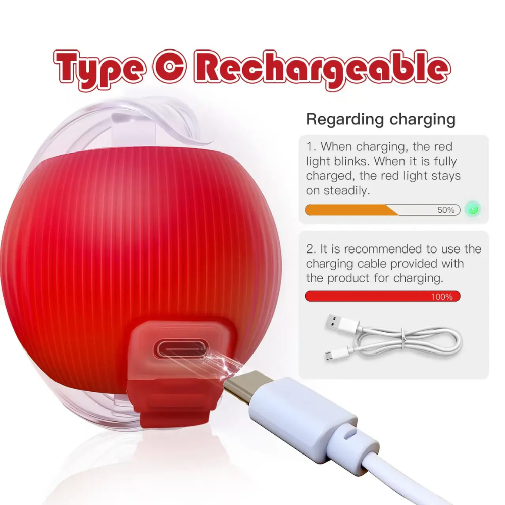 Interactive Rolling Ball Pet Toy