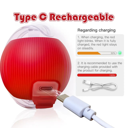 Interactive Rolling Ball Pet Toy
