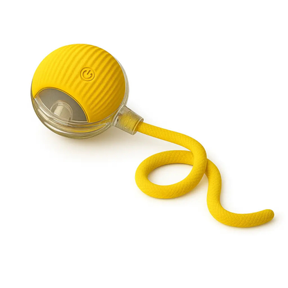 Interactive Rolling Ball Pet Toy