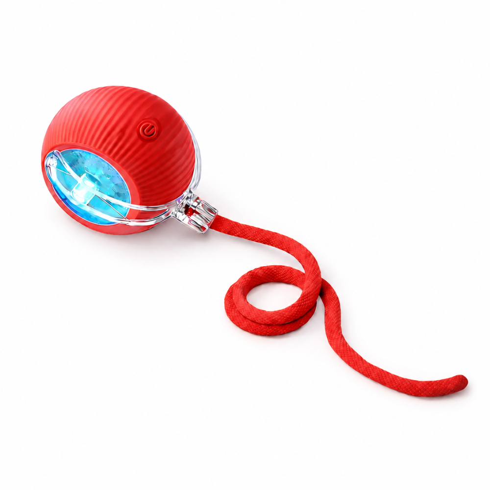 Interactive Rolling Ball Pet Toy