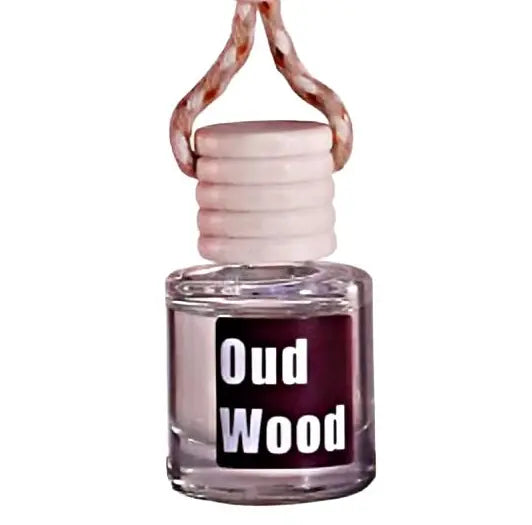 Car Air Fresheners Hanging Scent Oil Diffuser