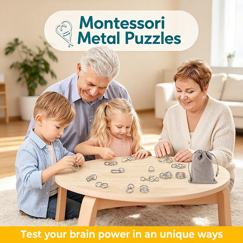 🎁 Metal Montessori Puzzle Solving
