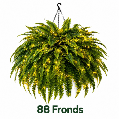 💛Glowing Boston Ferns with Lights – 🌿 Zero Watering, Zero Maintenance