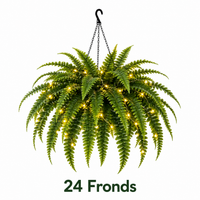 💡24 Fronds[3m / 30 Warm Lights + Iron Chain]
